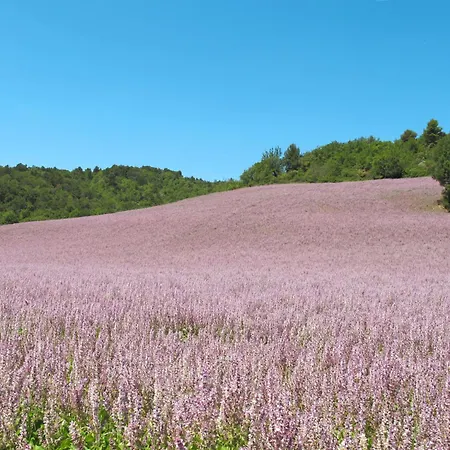 La Chenaie By Interhome Сasa de vacaciones *