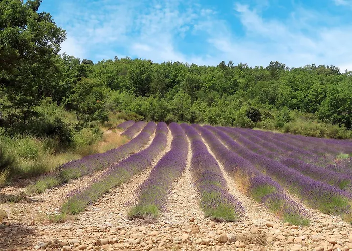 Holiday home La Chenaie By Interhome